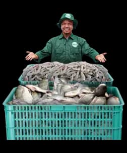 eFishery Shrimp & Fish